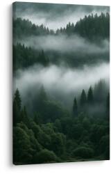 Dovido Tablou pădure de conifere liniștită în ceață - 60x90