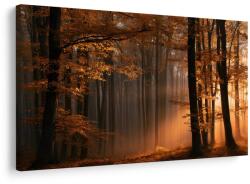 Dovido Tablou lumină aurie în pădure - 90x60