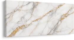 Dovido Tablou model luxos de marmură aurie - 100x50