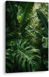 Dovido Tablou perete verde din frunze tropicale - 80x120