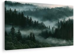 Dovido Tablou pădure montană de conifere în ceață - 120x80
