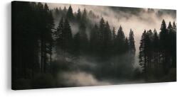 Dovido Tablou ceață matinală deasupra pădurii - 80x40