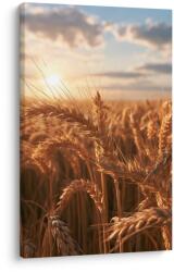 Dovido Tablou spice de grâu în lumina serii - 20x30