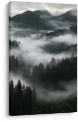 Dovido Tablou ceață liniștită în pădurea montană - 60x90