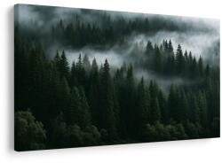 Dovido Tablou pădure de conifere în ceață - 90x60