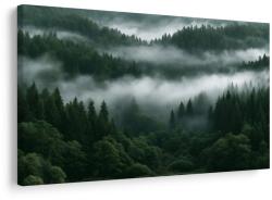 Dovido Tablou pădure montană în ceață la răsărit - 90x60