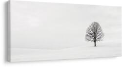 Dovido Tablou arborele vieții singuratic în zăpadă - 140x70