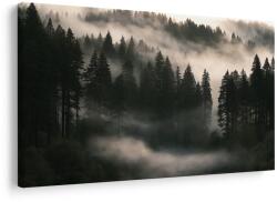 Dovido Tablou pădure liniștită în ceață - 30x20