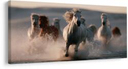Dovido Tablou herghelie de cai în galop - 100x50