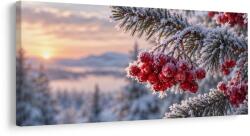 Dovido Tablou fructe roșii brumate la răsărit - 120x60