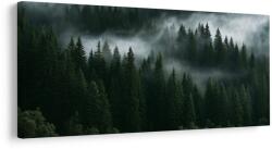 Dovido Tablou pădure întunecată învăluită în ceață - 120x60