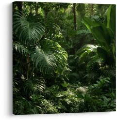 Dovido Tablou vegetație exotică de pădure tropicală - 30x30
