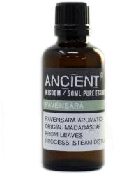Ancient Windsom Ravensara Illóolaj, 50 ml, 100% Tiszta Párologtatóhoz és Aromalámpához (preo-74)