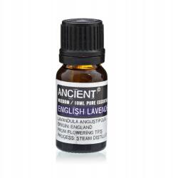 Ancient Wisdom Angol Levendula Illóolaj, 10 ml, 100% Tiszta, Párologtatóhoz (EO-90)