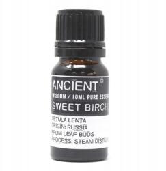 Ancient Wisdom Nyírfa Illóolaj, 10 ml, 100% Tiszta, Párologtatóhoz és Aromalámpához (5055796529131)
