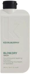 KEVIN.MURPHY Kevin Murphy, Blow Dry Wash, Hair Shampoo, For Repairing, 250 ml