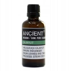 Ancient Wisdom Cajaput Illóolaj, 50 ml, 100% Tiszta, Párologtatóhoz és Aromalámpához (preo-56)
