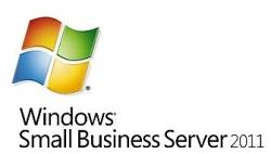 Microsoft Windows Small Business Server 2011 CAL 64bit ENG (1 Device) 6UA-03542