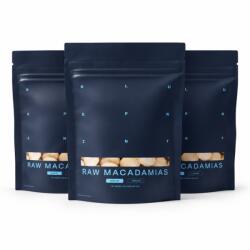 Blueprint by Bryan Johnson Nuci de macadamia crude - Blueprint de Bryan Johnson 3 x 113 g