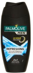 Palmolive Refreshing 2in1 250 ml