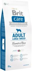 Brit Adult Large 2x12 kg