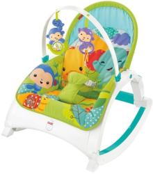 Mattel Fisher-Price Newborn to Toddler Discover & Grow