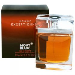 Mont Blanc Homme Exceptionnel EDT 75 ml Tester