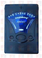 Soundking AM 407