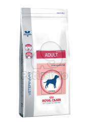 Royal Canin Adult Medium Dog Skin & Digest 10 kg