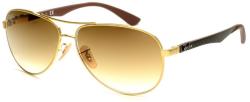 Ray-Ban RB8313 001/51