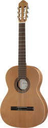 Ortega Guitars R180