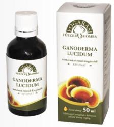 Fogarasi Ganoderma kivonat 50 ml