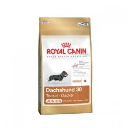 Royal Canin Dachshund Junior 500 g