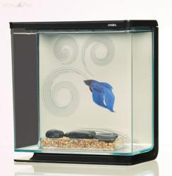 Hagen Marina Betta Kit 3 l