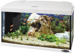 Vásárlás: Ferplast Capri 60 60 l Akvárium árak összehasonlítása, Capri6060l  boltok