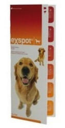 Vásárlás: Stronghold Spot On 60mg 5-10kg Élősködők elleni készítmény  kutyáknak árak összehasonlítása, Spot On 60 mg 5 10 kg boltok