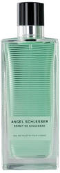 Angel Schlesser Esprit de Gingembre pour Homme EDT 100 ml Tester