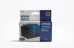 Epson T0424