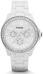 Fossil AM4494