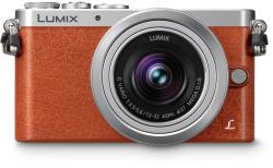 Panasonic Lumix DMC-GM1K + 12-32mm