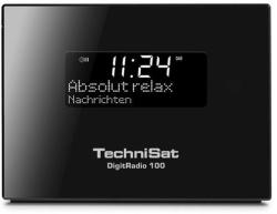 TechniSat DigitRadio 100 (0000/4957)