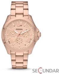 Fossil AM4511