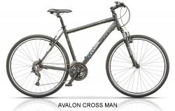 Cross Avalon 28