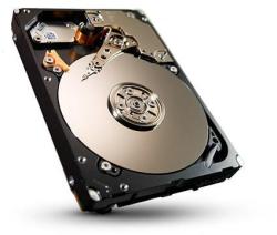 Seagate Savvio 600GB SAS (ST600MM0006)