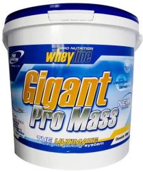 Pro Nutrition Gigant Pro Mass 5000 g