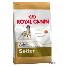 Royal Canin Setter Adult 12 kg