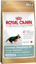 Royal Canin German Shepherd Junior 3x12 kg