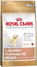 Royal Canin Labrador Retriever Junior 3x12 kg