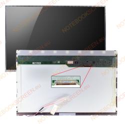 AU Optronics B133EW01 V. 2 kompatibilis fényes notebook LCD kijelző