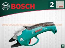 Bosch CISO